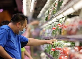 粤居民人均可支配收入增长4.2%