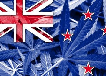 解读：大麻+安乐死公投结果出炉，这些人或成最大输家……