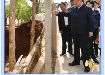 2020，我们温暖的记忆（图辑）