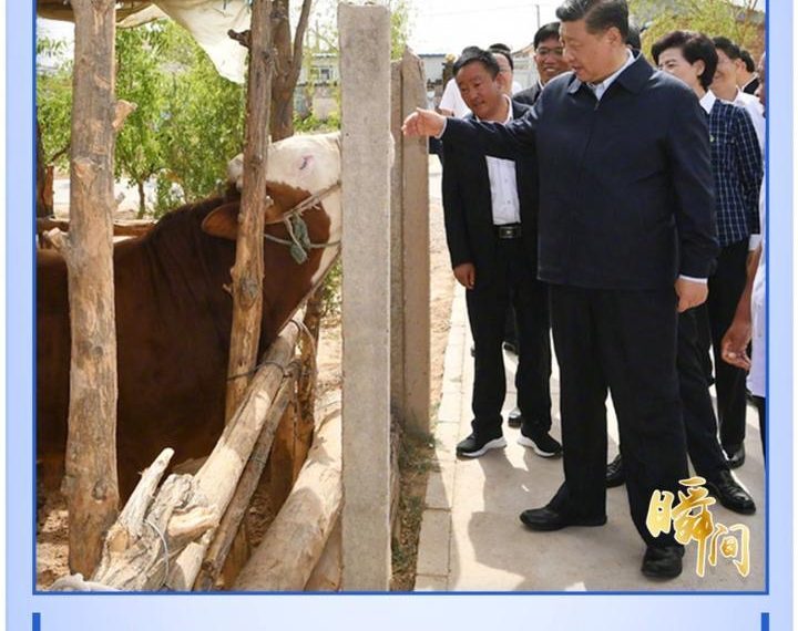 2020，我们温暖的记忆（图辑）