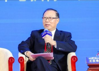 王在希：两岸和平统一可能性越来越小