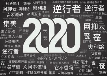 综述：字述中国：盘点2020年的新词流行词
