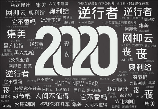综述:字述中国:盘点2020年的新词流行词