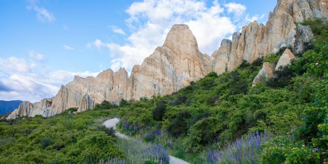 打卡迪士尼电影花木兰取景地：新西兰南岛Clay Cliffs（绝美大图）