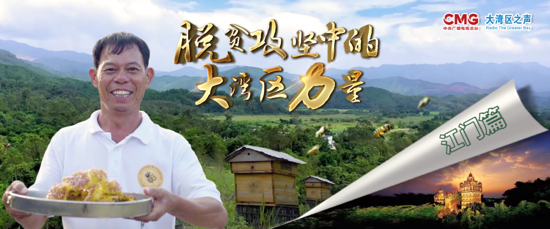 荔枝蜜、龙眼蜜、鸭脚木蜜……小镇脱贫的“蜜”诀都在这里!