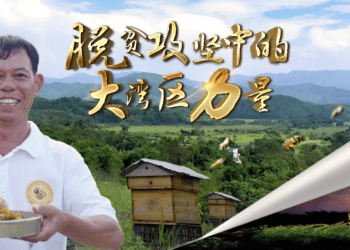 荔枝蜜、龙眼蜜、鸭脚木蜜……小镇脱贫的“蜜”诀都在这里！