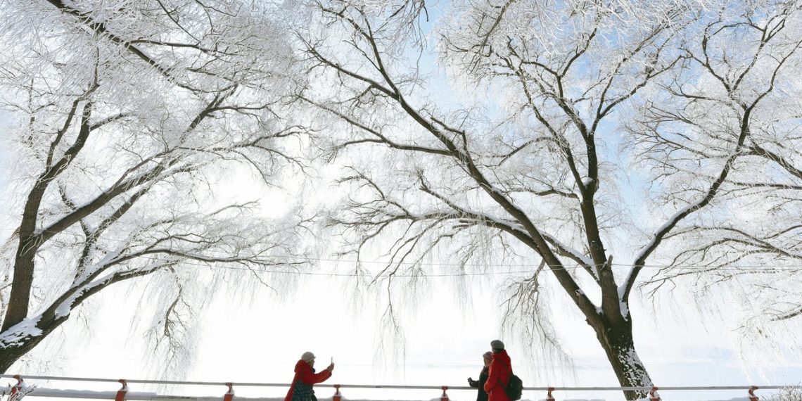极寒!“中国最冷小镇”呼中最低温突破-40℃