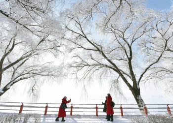 极寒！“中国最冷小镇”呼中最低温突破-40℃