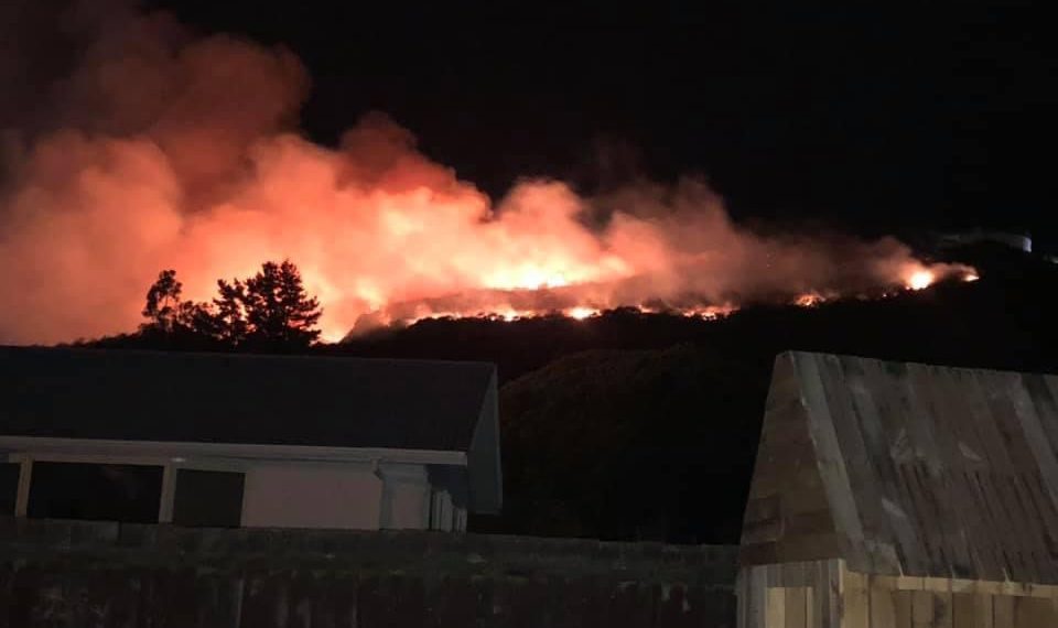 快讯!基督城港口山午夜突发可疑山火!