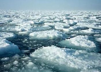 独家视频丨习近平宣布应对气候变化新举措