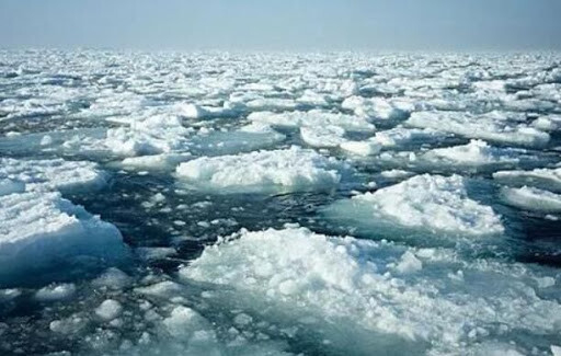独家视频丨习近平宣布应对气候变化新举措