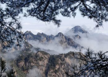古生物学家发现青藏高原中部远古的“香格里拉”