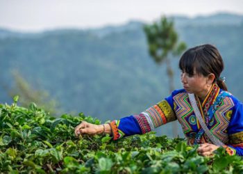 Guangdong contributes to regional poverty relief