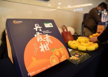 “14th Five-Year Plan” briefing offers Consulates a window into better understanding the relationship between China and the world