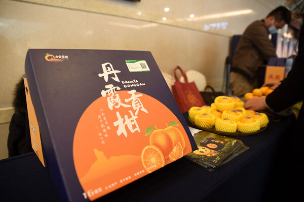 “14th Five-Year Plan” briefing offers Consulates a window into better understanding the relationship between China and the world
