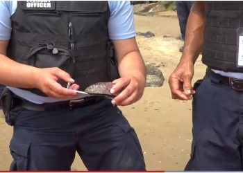 渔业官员假日繁忙出动以制止非法捕捞-华人尤请注意哦