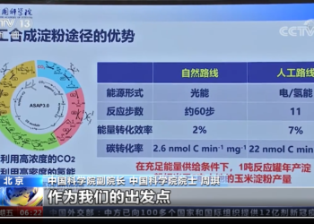 中外专家热评从二氧化碳人工合成淀粉：助解人类未来面临重大挑战