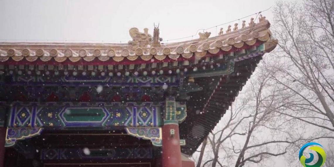 北京迎2022年初雪 故宫白雪镶红墙