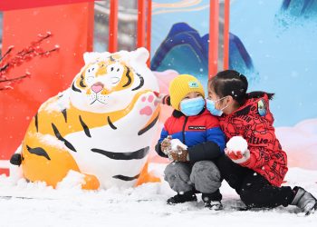 北京好大雪！（图集）