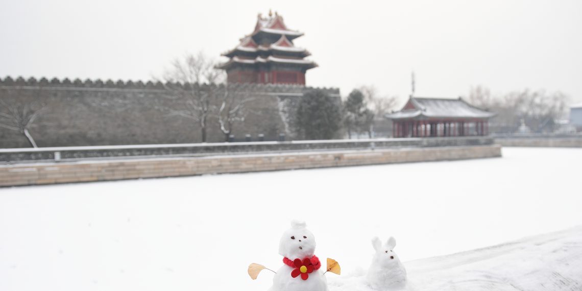北京好大雪！（图集）