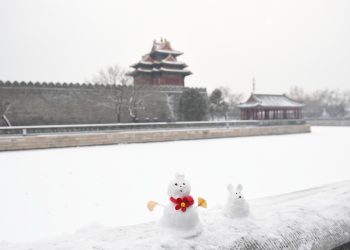 北京好大雪！（图集）