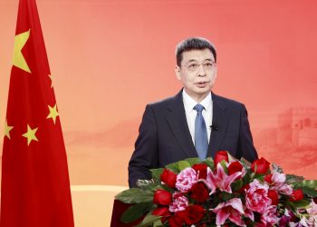 中国国务院侨办主任潘岳发表新春贺词（+视频）