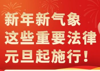 权威快报|中国一批重要法律元旦起正式施行
