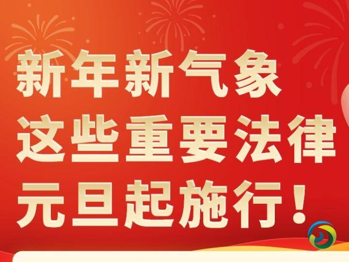 权威快报|中国一批重要法律元旦起正式施行