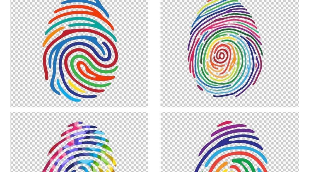 中外科学家携手揭秘指纹成因 或助新生儿疾病早筛