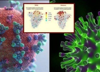 研究人员称发现“德尔塔+奥密克戎”混合毒株