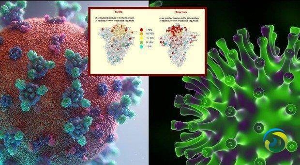研究人员称发现“德尔塔+奥密克戎”混合毒株