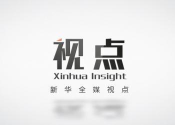 新华社：“丰县生育八孩女子”事件调查