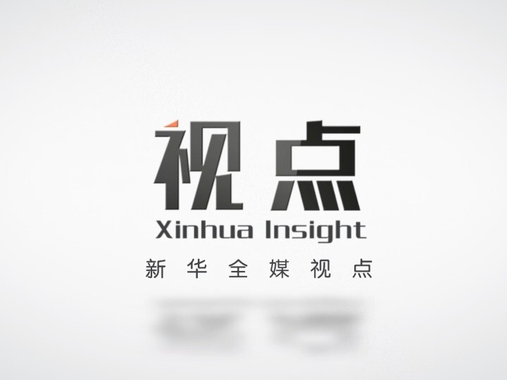新华社：“丰县生育八孩女子”事件调查