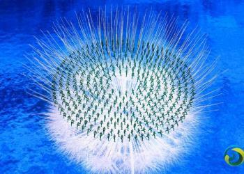 Highlights of Beijing 2022: Opening Ceremony