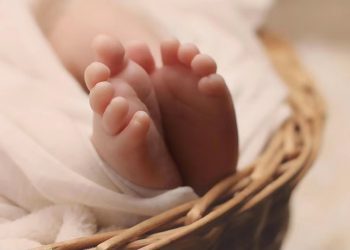 baby 例图。