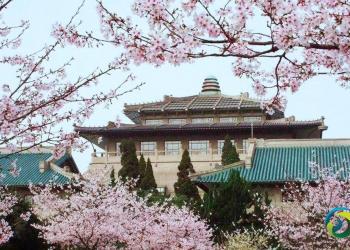 今年湖北18所高校免试招收台湾高中毕业生
