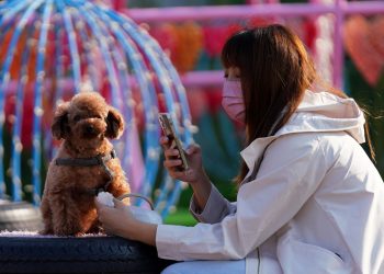 港大研究：混检核酸或使社区传播两三个月内停止