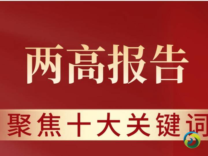 十大关键词解读两高报告