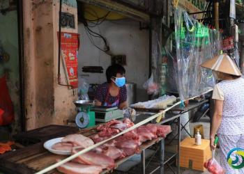 综合消息：越南全面恢复国际旅游 新西兰加速开放边境