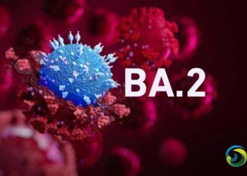 全球新冠病例超4.67亿例　多国奥密克戎BA.2确诊增加