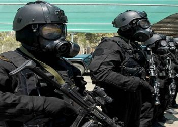 英国特种空勤团被曝赴乌助战　德国总理拒输送重武器