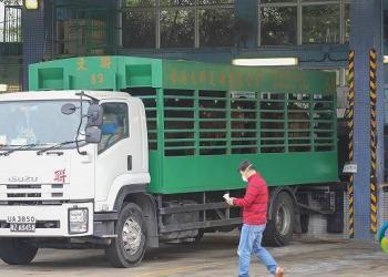 香港逾万跨境货车司机疫下不足两成有工开