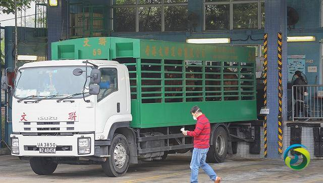 香港逾万跨境货车司机疫下不足两成有工开