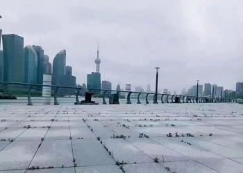 上海辟谣说“外滩没长草”，网友却有另外的看法