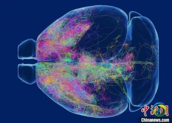 中国科学家给大脑绘制“高清图谱” 有助启发新一代人工智能