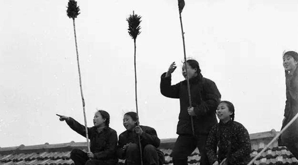 回望除四害:我们到底能不能和“四害”共存?