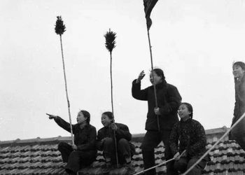 回望除四害：我们到底能不能和“四害”共存？