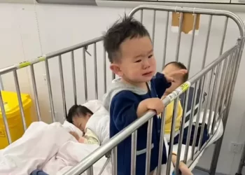 上海妇联回应婴幼儿被单独隔离：已在协调中