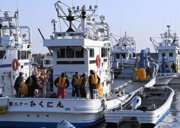 日本北海道失联观光船已确认11人死15人失踪