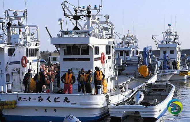 日本北海道失联观光船已确认11人死15人失踪